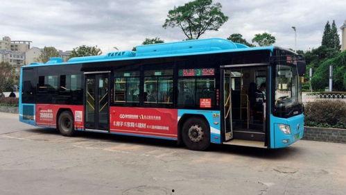 3路公交车爆料新闻视频,揭秘城市交通背后的故事