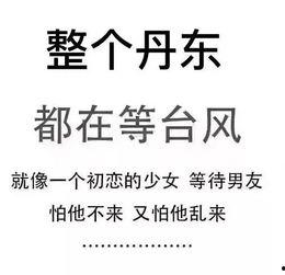 最新台风爆料新闻内容